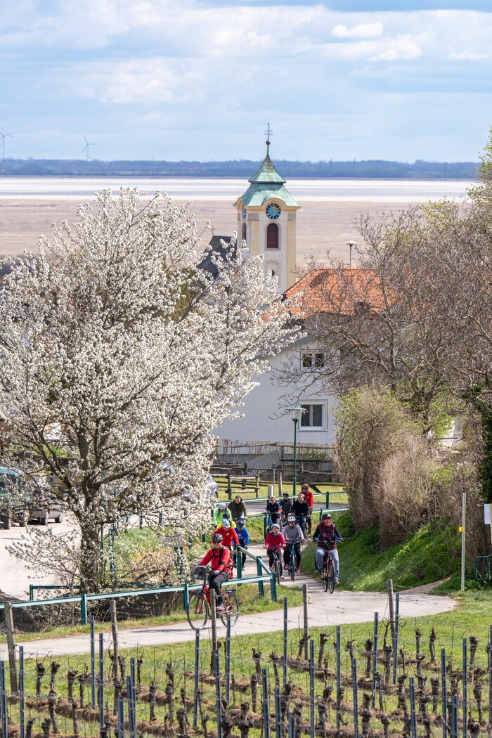 Der Frühling ist bereits ins Land gezogen.