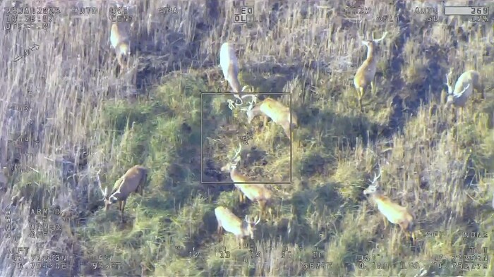 Präzise Wilderfassung aus der Luft.