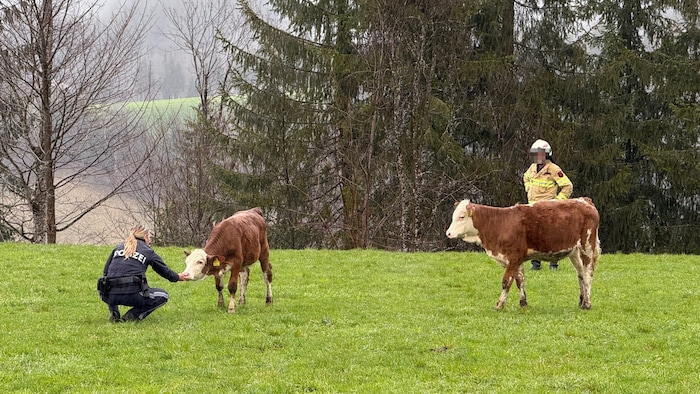 Die Tiere im Stall konnten befreit werden, auch die Bewohner wurden nicht verletzt.