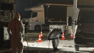 Kampf gegen die Maul- und Klauenseuche in der Slowakei