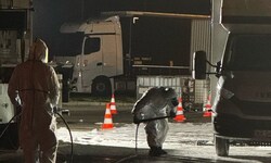 Kampf gegen die Maul- und Klauenseuche in der Slowakei