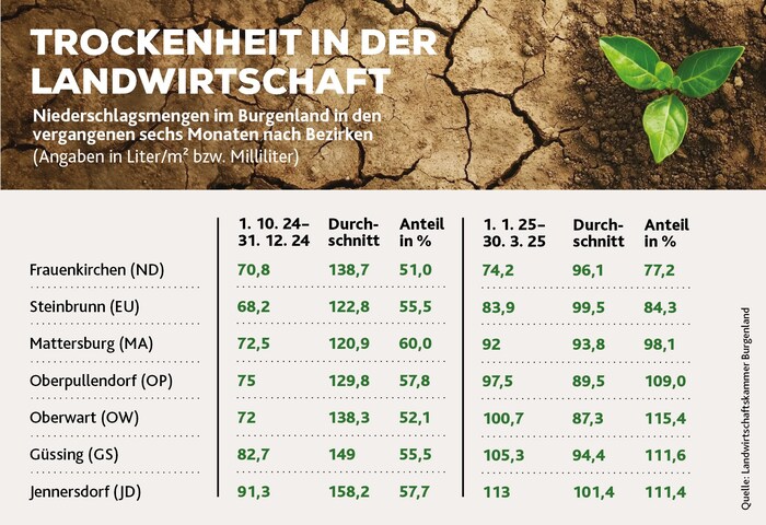 Im Landessüden war das vierte Quartal 2024 besonders niederschlagsarm.