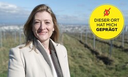 Die Weinberge mit Blick über Wien lassen die Vizebürgermeisterin Stress und Hektik vergessen.