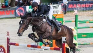 Jannik Domaingo ist eines der Kärntner Aushängeschilder im Reitsport.