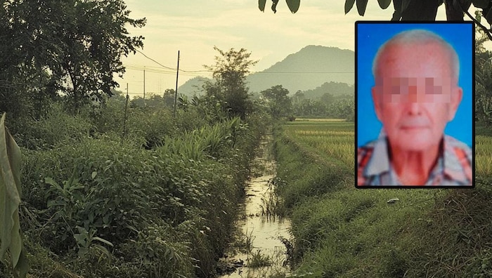 Trügerische Idylle: Die Leiche des 77-jährigen Steirers wurde im Wassergraben eines Reisfeldes ...