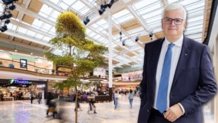 Marcus Wild ist Aufsichtsratsvorsitzender der SES, zu denen die Weberzeile, die Varena und das max.center gehören. (Bild: Krone KREATIV/Eva trifft Fotografie, Robert Fritz)