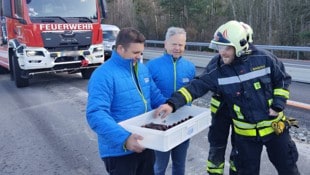 Eine süße „Jause“ gab es für die Helfer der Feuerwehr Pinkafeld bei einem Einsatz auf der A 2. (Bild: Stadtfeuerwehr Pinakfeld, Krone KREATIV)