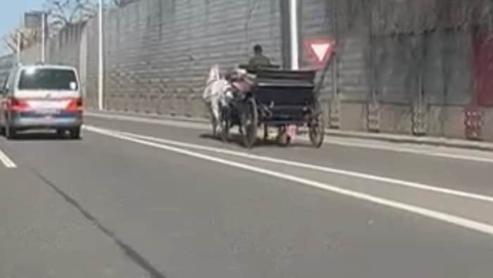 Die Kutsche wurde von der Polizei eskortiert.