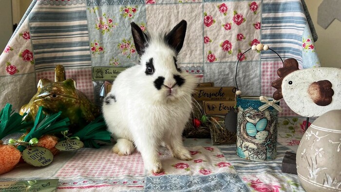 Eine bunte Auswahl an handgemachter Osterdeko, süßen Geschenkideen und köstlichen Leckereien ...