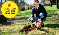 Wiens FPÖ-Chef Dominik Nepp mit seinen Dackeln Hanni und Otto auf einer Wiese am Schafberg.