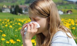 Aufgrund des Klimawandels verlängert sich zum Leidwesen der Allergiker die Blütezeit vieler ...