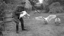 Plünderungen standen auf der Tagesordnung. (Bild: BIK. Foto Zajcev)
