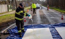 In der Slowakei werden bereits strenge Maßnahmen gegen die Maul- und Klauenseuche umgesetzt.