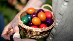 Die Vogelgrippe, die seit Oktober 2025 in Europa massiv grassiert, hat auch zu einer Anspannung ...