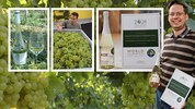 Sekt mit Qualität – mit den edlen Trauben Gelber Muskateller: Josef Kolm wurde damit ...