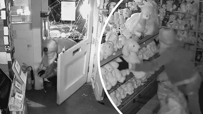 Die Diebe leerten die Regale im Spielzeuggeschäft in Windeseile.