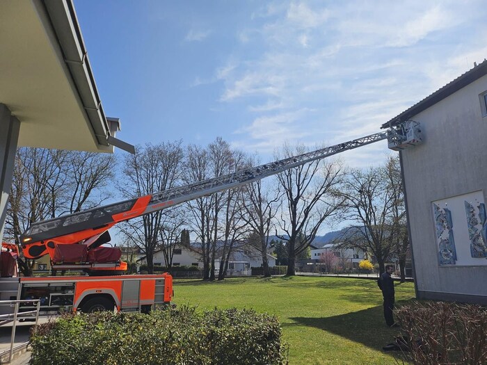 Mit der Drehleiter gelangte die Berufsfeuerwehr zum Falken auf etwa zehn Metern Höhe.