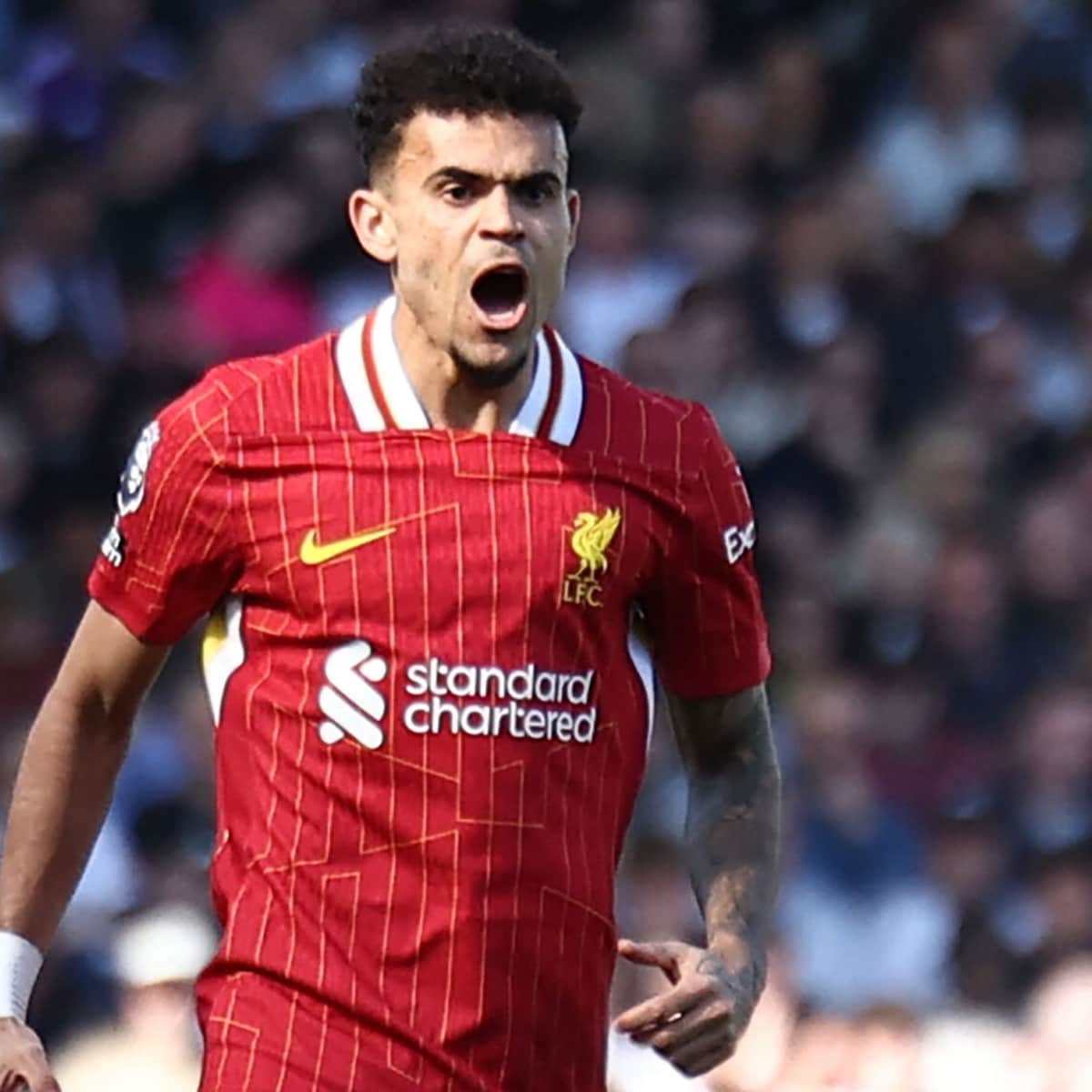 Carla nicole lagerfeld boobs made my way toward visit