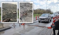 Seuchenteppiche in Klingenbach an der ungarischen Grenze – ein Video aus Ungarn sorgt nun für ...