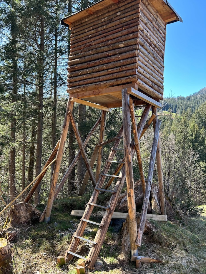 Der Hochstand, bei dem das Unglück geschah