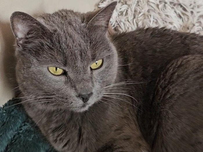 Wer hat Smokey gesehen?