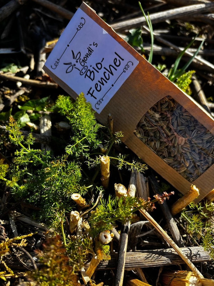 Auch Bio-Fenchel gibt es am Gondlhof zu kaufen.