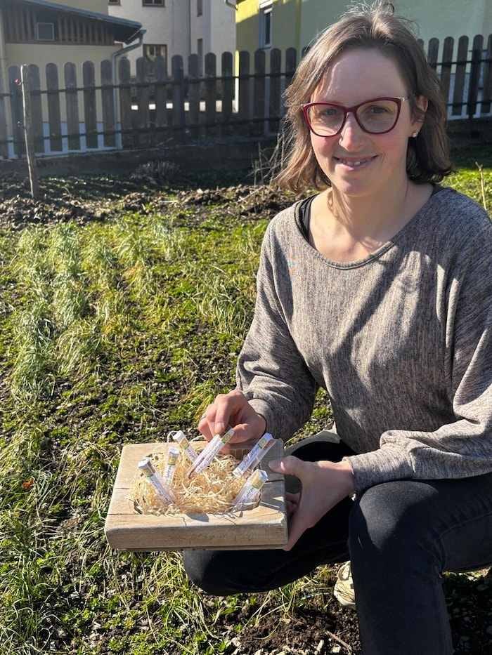 Daniela Willer baut in Mühldorf Safran an. 