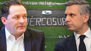 Totschnig will eine verpflichtende Herkunfts-Kennzeichnung von Zutaten einführen. Hattmannsdorfer tritt entgegen der offiziellen Parteilinie offen für den Mercosur-Deal ein. (Bild: Krone KREATIV/Reuters/Elisabeth Mandl, Reuters/ Stephane Mahe, Manhart Eva)