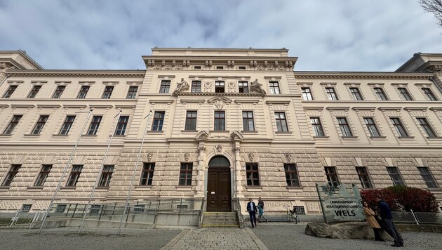 Am Landesgericht Wels wurde am Mittwoch ein 28-Jähriger verurteilt.