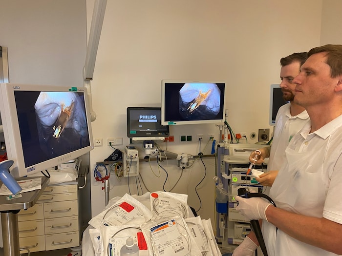 DGKP Thomas Schätz und OA Dr. Michael Klausner stellen virtuell eine Blutung dar.