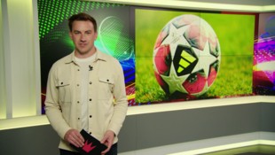 (Bild: krone.tv)