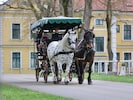 Pferdezentrum Stadl-Paura: 150 Veranstaltungstage im Jahr 2025