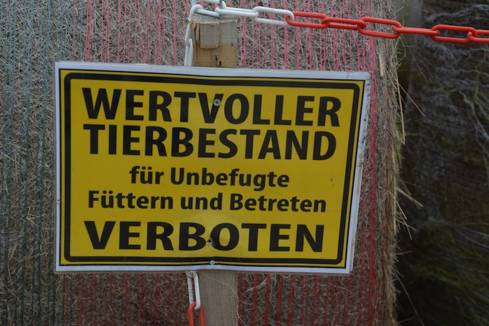 Mit solchen Schildern wird darauf hingewiesen, dass der Graurinderstall derzeit weiträumig zu ...