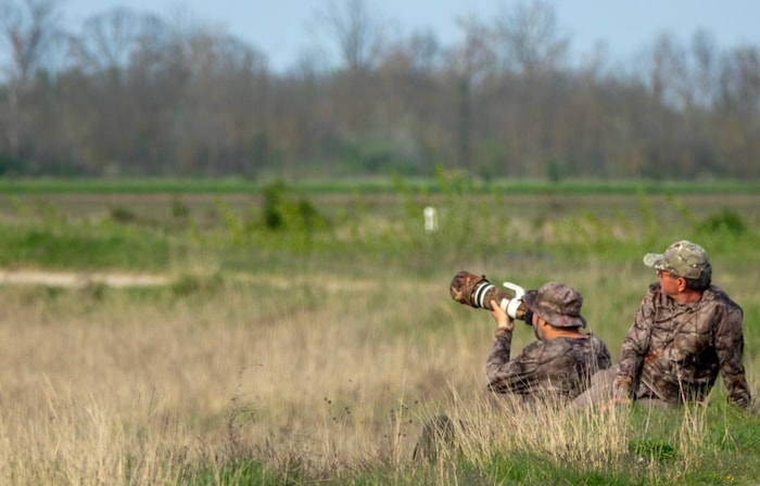 Ornithologen, Birdwatcher und Fotografen sind jetzt vermehrt im Gebiet, um die bereits ...