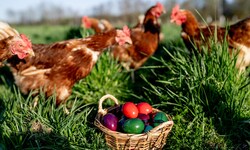 Bunte Eier sind Pflicht in jedem Osternest. 