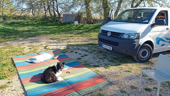Relaxen und snacken am Campingplatz für Hundemädchen Nanni.