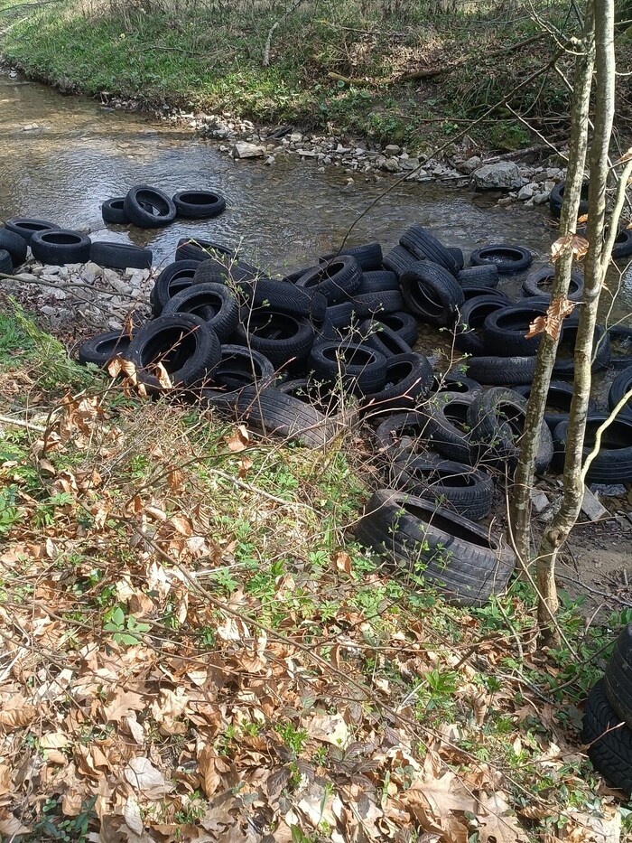 Im Wald und auch mitten im Wasser lagen die ausgedienten Pneus