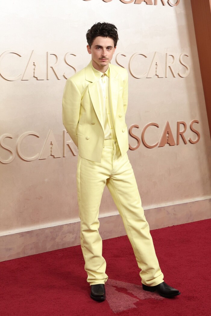 Timothée Chalamet trug den Trendton bei der Oscar-Gala.