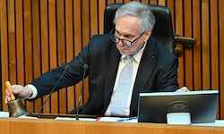 Walter Rosenkranz will, dass im Parlament über Inhalte – und nicht über Schreibweisen – ...