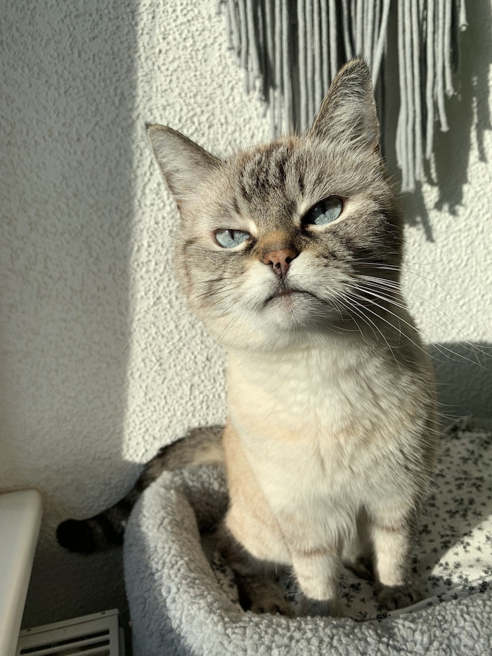 „Wer weckt mich beim Sonnenbad?“ scheint sich „Lilly“ zu denken. 