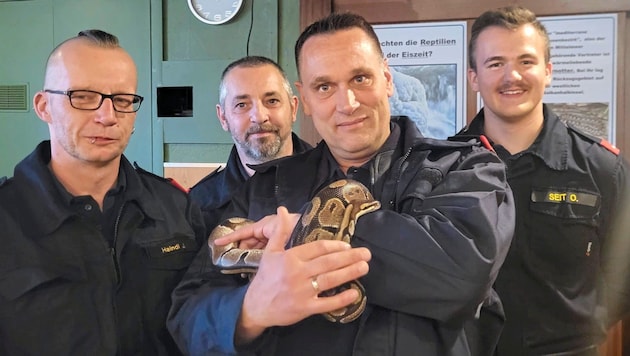 Sogar mit einem Königspython gingen die Florianis aus Gloggnitz auf Tuchfühlung. (Bild: FF Gloggnitz)