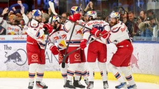 Können die „Bullen“ in der CHL heuer auch jubeln?