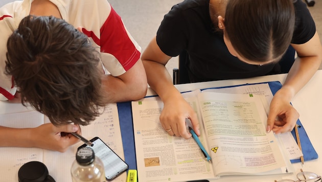 Die Sommerschule wird für Schüler mit Deutsch-Defiziten heuer Pflicht. (Symbolbild)