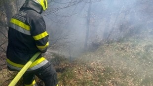 Etwa 200 Männer und Frauen stehen beim Waldbrand auf dem Kömmel im Einsatz. (Bild: BFKdo Völkermarkt)