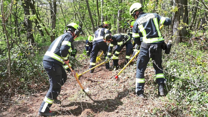Koordiniert wurde die Übung vom Bezirksfeuerwehrkommando Eisenstadt-Umgebung gemeinsam mit den ...