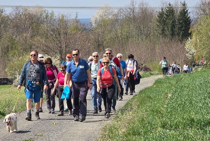Zwei begleitete Touren wurden nach dem Festakt angeboten.