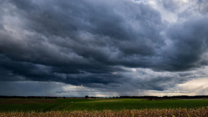 Am Mittwoch muss im ganzen Land mit Regen gerechnet werden.