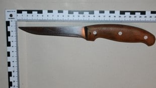 Der 24-jährige Linzer, der das Messer gezückt hatte, sitzt nun in Haft. (Symbolbild) (Bild: LPD Wien)