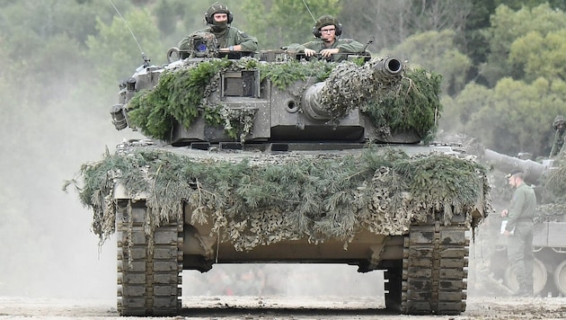 Das österreichische Bundesheer bei einer Übung (Archivbild)