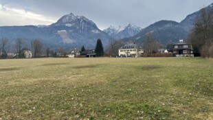 Auf dieser großen Wiese soll ein Baulandmodell kommen. (Bild: Roittner Felix)